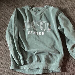 Comfort Colors Teal 'Pumpkin Season' Women's Sweater